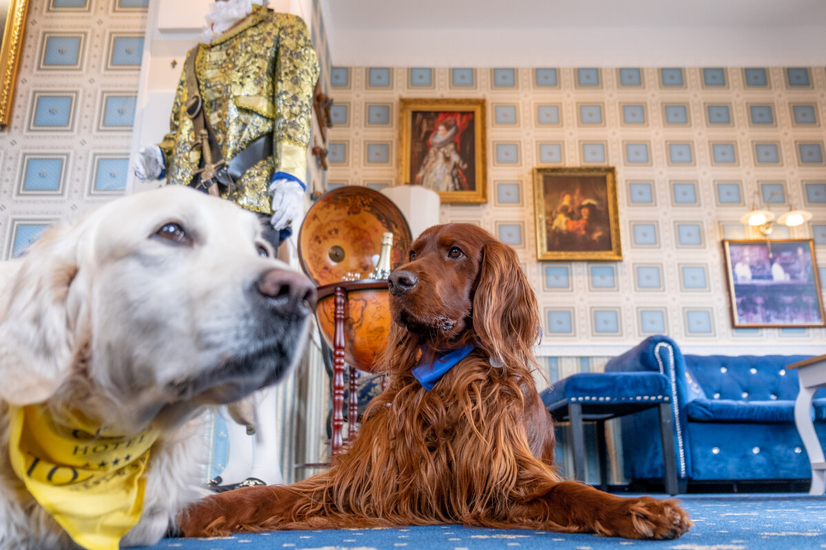 Dog Friendly Luissa Café v Hotelu TOMMY